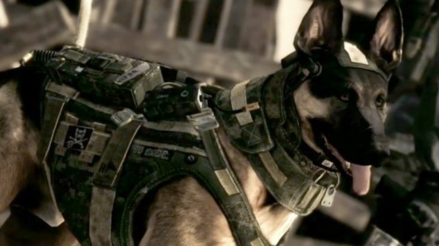 call-of-duty-dog.jpg